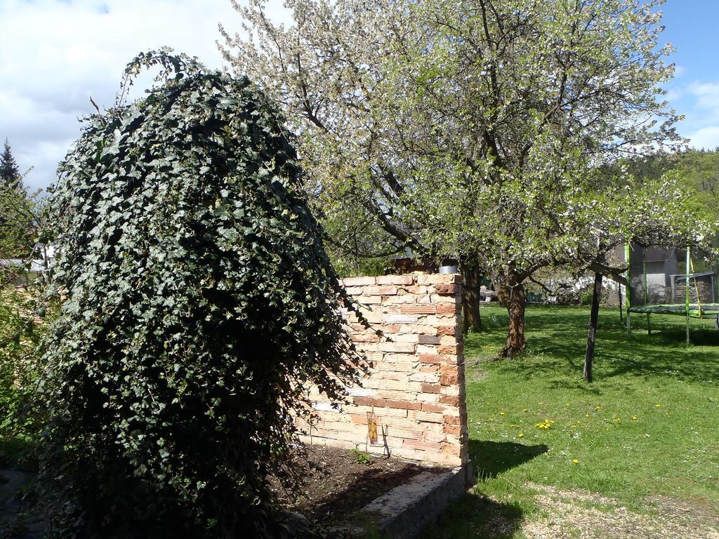 Penzion Villa Marion Mariánské Lázně Eksteriør billede