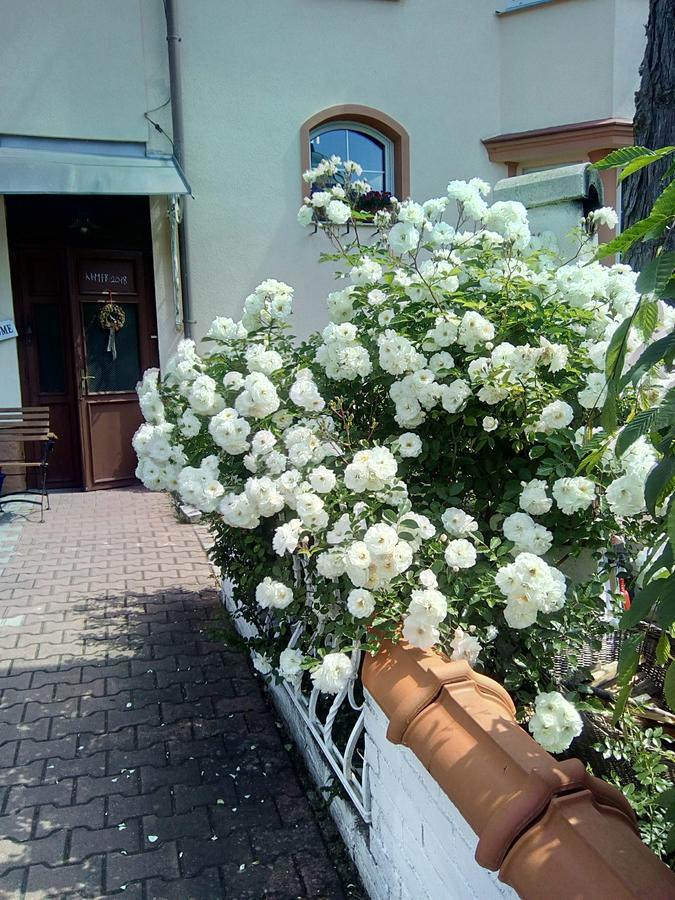 Penzion Villa Marion Mariánské Lázně Eksteriør billede